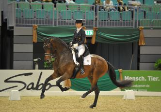 Baron Consumenta Galopp2