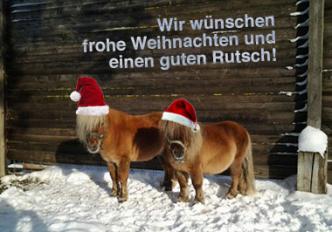 xmas 2
