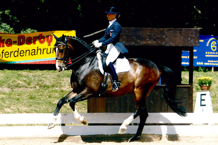 Olivier Tango