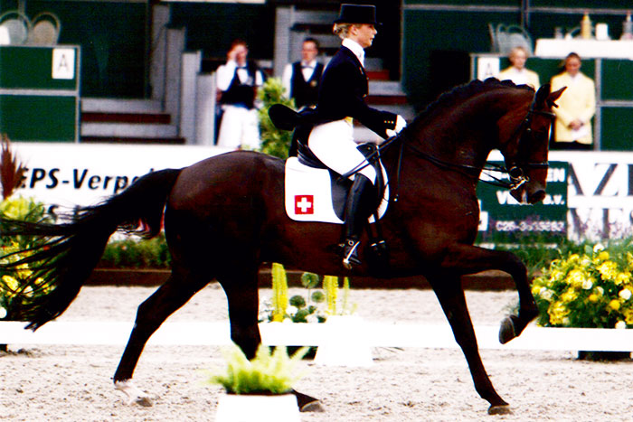 Plaisir dAmour 02