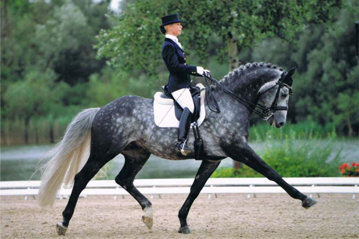 Raffaelo 01
