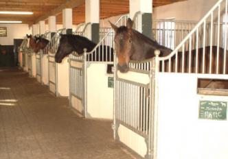 Stallungen 02