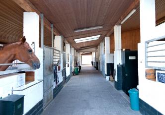 Stallungen